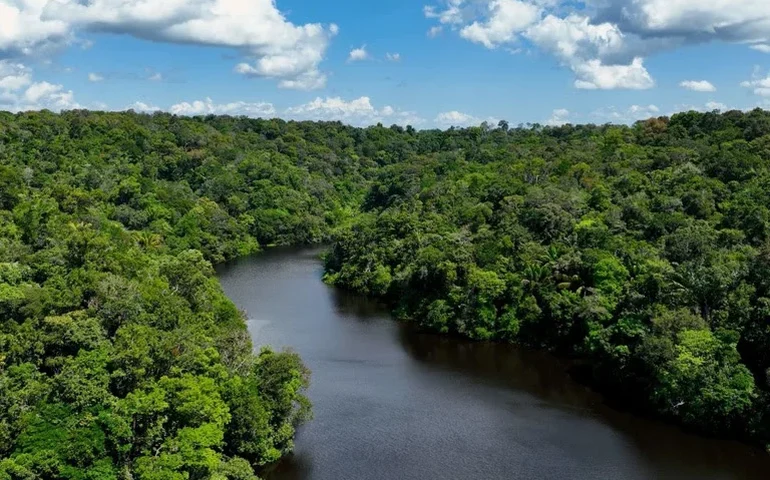 No Dia Mundial do Meio Ambiente, Governo do Brasil ressalta avanços conquistados pelo país desde 2023