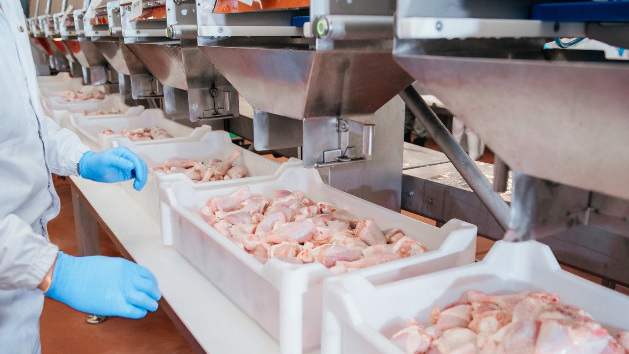 Por que você não deve lavar o frango antes de cozinhar, segundo especialistas