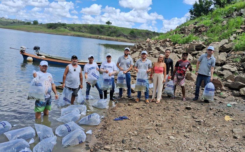 Codevasf reforça estoque aquático na Barragem do Boacica com o Peixamento Anual