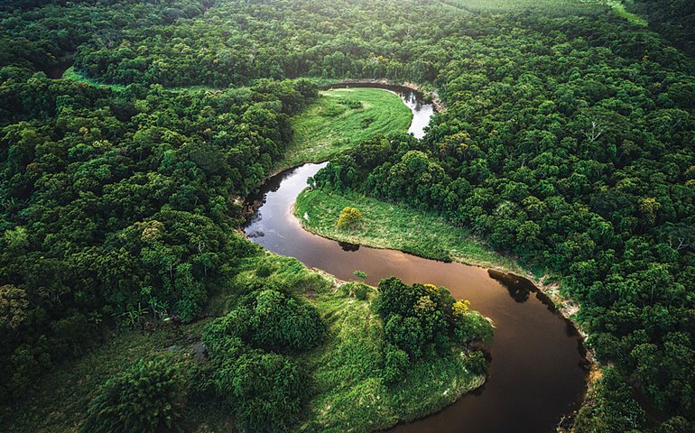 Luta atual em defesa da floresta amazônica