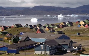 News title