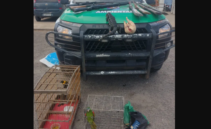 Armas, munições e aves silvestres foram apreendidas durante a ação
