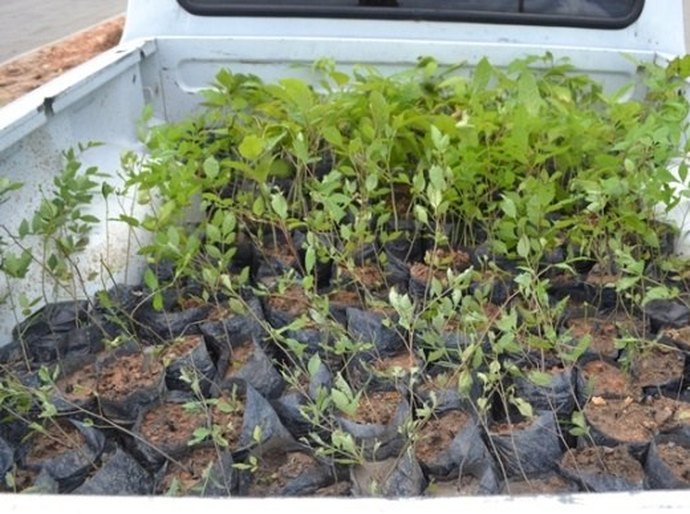 IMA leva Cadastro Ambiental Rural à Coruripe; meta é atingir 123 mil propriedades