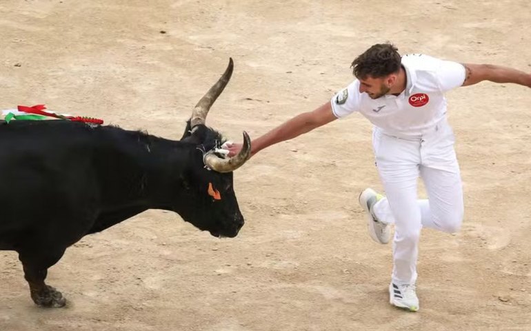 Espanha cancela prêmio nacional de touradas em sinal de mudança cultural