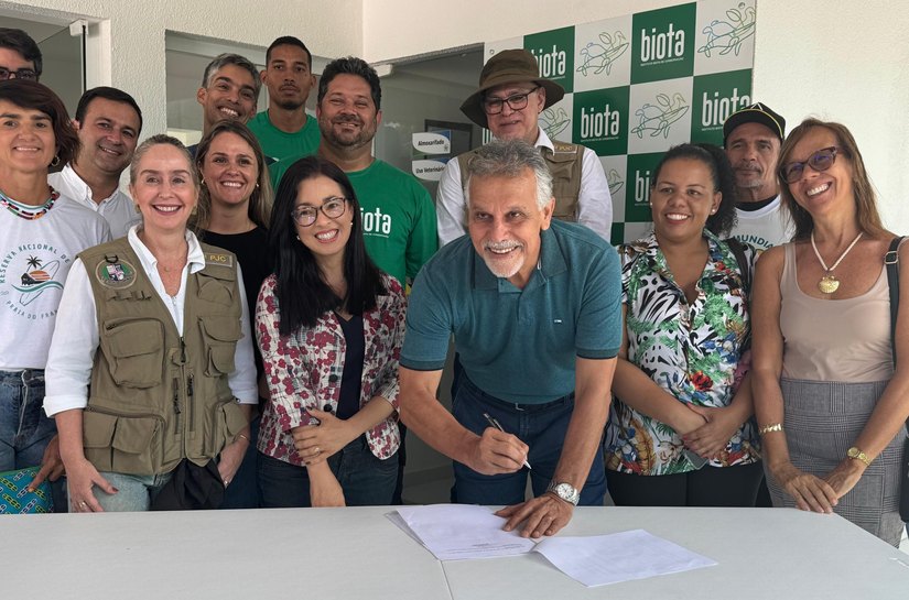 Alagoas cria grupo de trabalho para elaboração do plano de ação de conservação das tartarugas marinhas