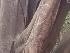 WhatsApp Image 2026-03-19 at 19.44.08.jpeg 