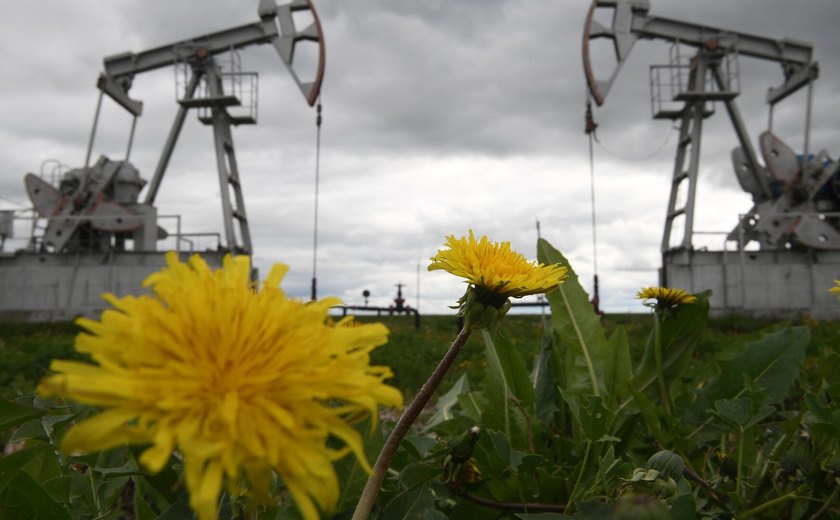Em meio às ameaças de Trump, OPEP prevê aumento de produção de petróleo para setembro