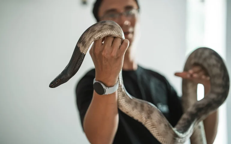 Mercado de pets exóticos cresce em Alagoas e impulsiona negócios especializados