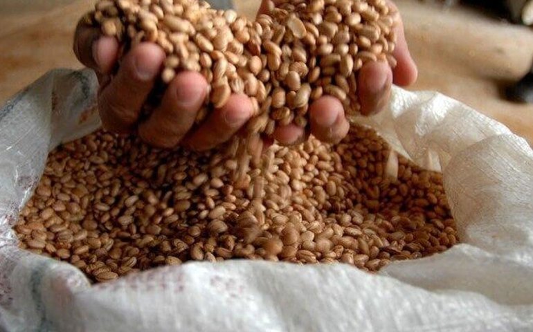 Brasil amplia mercados agrícolas com novos acordos com Índia e Rússia