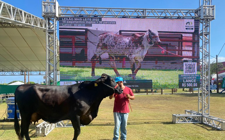 Calendário de eventos da 73ª Expoagro Alagoas está mais fortalecido