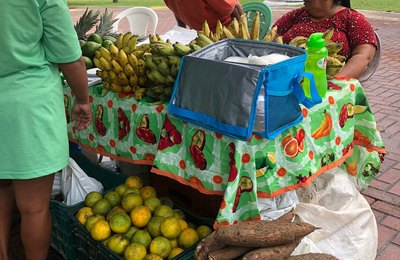 Feira Sustentável leva alimento seguro à mesa do maceioense