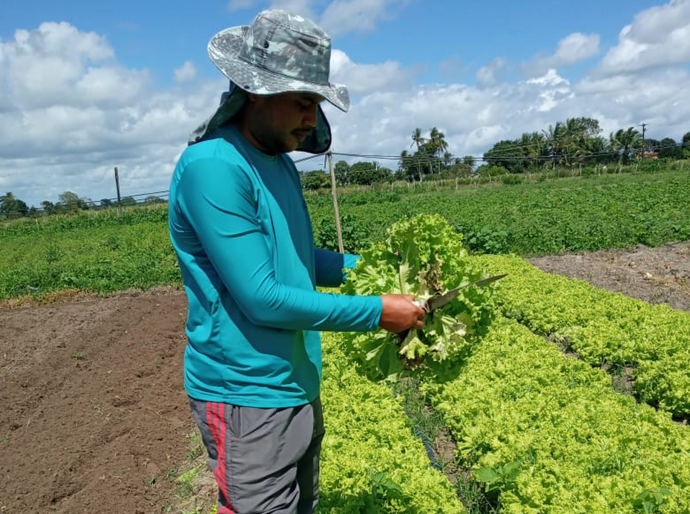Emater já distribuiu 2,7 mil toneladas de alimentos no Agreste por meio do PAA