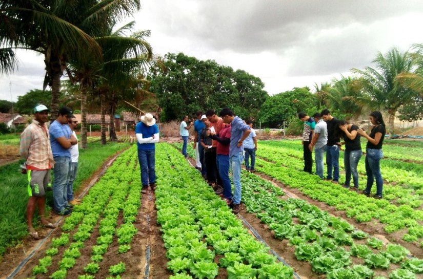 Estudantes de Agronomia visitam produtores de hortaliças de Arapiraca