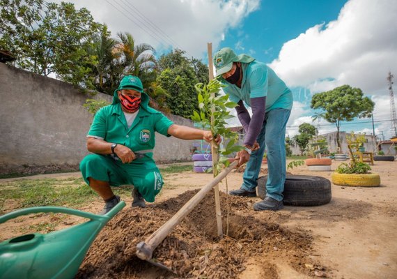 Em 2022, Prefeitura de Maceió já realizou o plantio de mais de 2.400 exemplares na capital