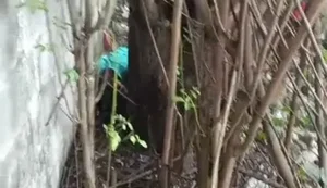 Vítima foi encontrada em terreno