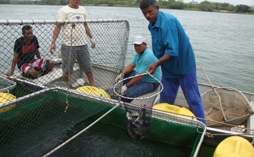 Revitalização da pesca e da aquicultura vai beneficiar mais de 40 mil pescadores