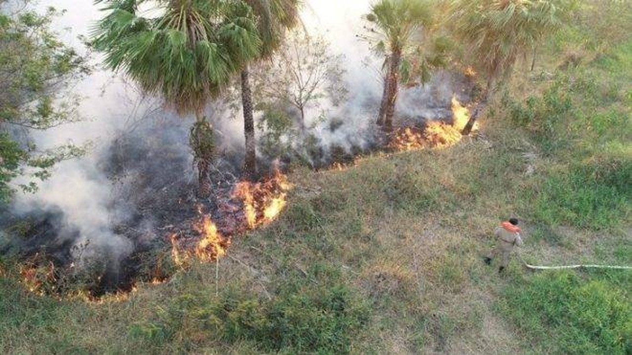 Governo do MS decreta emergência e pede ajuda por incêndios no Pantanal