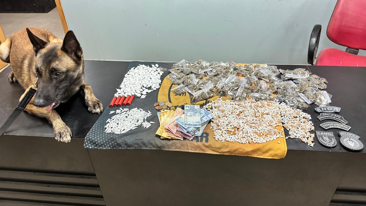 PM-AL apreende quase 50 quilos de drogas e 25 armas de fogo em uma semana