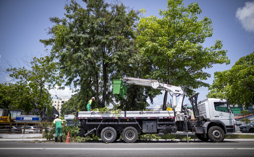 Autarquia de Limpeza Urbana inicia ação preventiva de poda e supressão de árvores