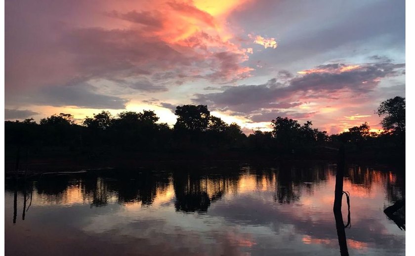 Dia Mundial da Água: Cerrado pode perder quase 34% da água até 2050