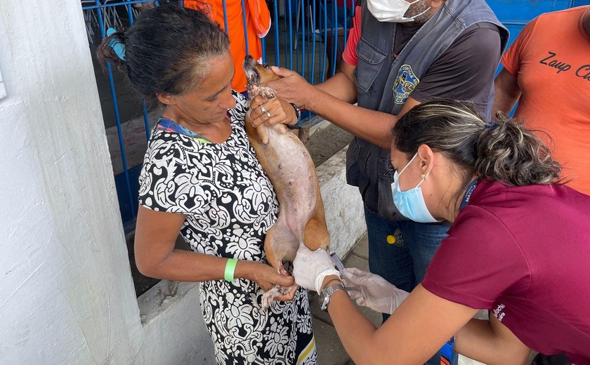 Animais desabrigados recebem assistência na capital alagoana