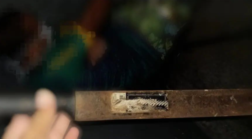 Homem armado com facão é detido após agredir servidor da saúde em Nossa Senhora do Socorro / Foto: Foto: GMS/Socorro