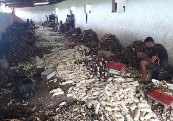 Após decisão judicial, Município de Feira Grande deverá garantir proteção a crianças encontradas em casas de farinha