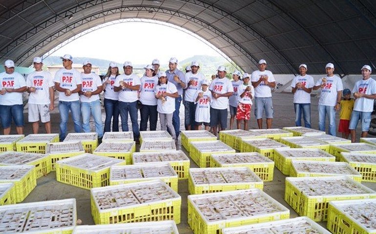 Governo reforça compromisso com avicultura familiar