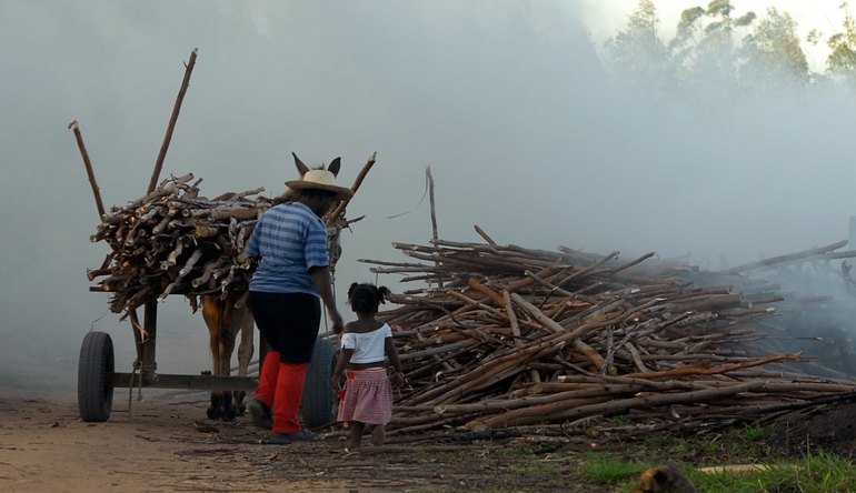 Quase 2 milhões de crianças são exploradas com trabalho no Brasil