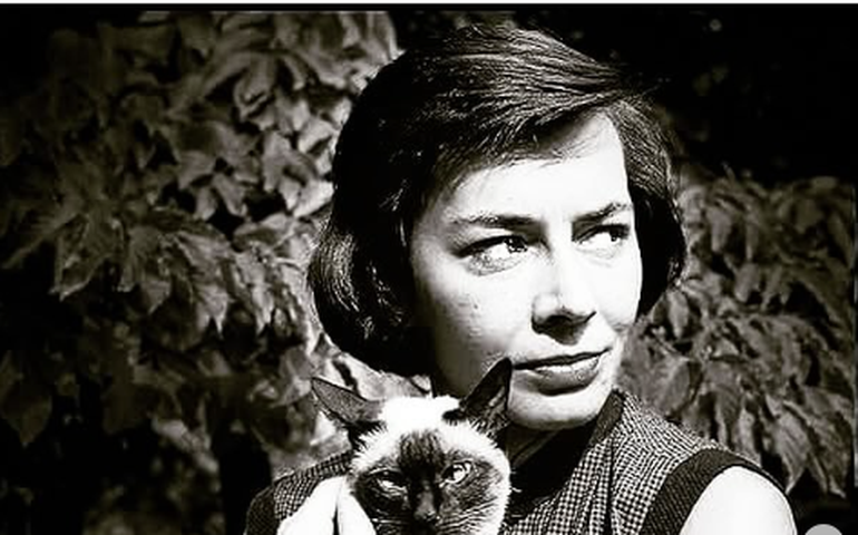 Tom Ripley: por que o vigarista de Patricia Highsmith é tão fascinante? Especialistas analisam