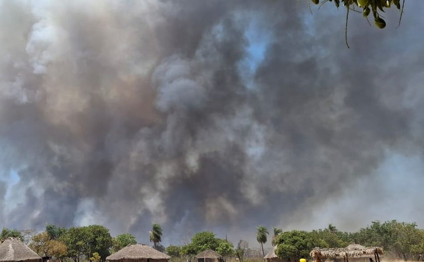 Indígenas de MT lutam por sobrevivência após um mês de queimadas