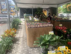 WhatsApp Image 2026-04-14 at 13.26.26.jpeg 