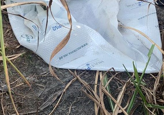 Canavial foi usado para estuprar criança, diz Polícia Civil