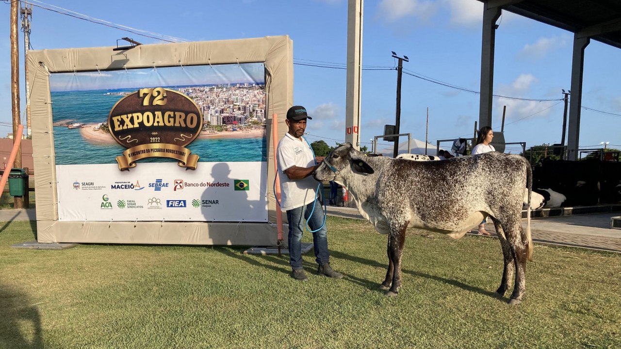 Exposições regionais do gado leiteiro têm início na 72ª Expoagro Alagoas
