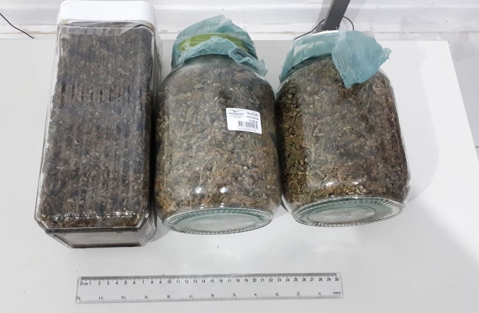 apreensão maconha