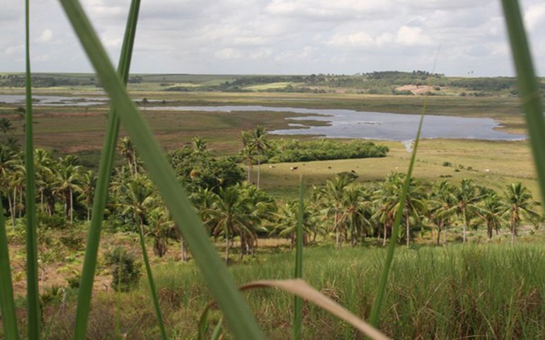 Mestrandas pesquisam anuro na APA da Marituba