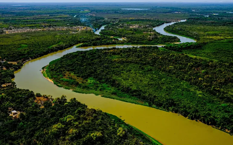 O que será do Pantanal?