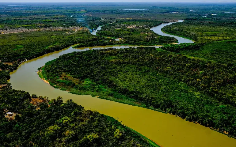 Fotografias revelam facetas do Pantanal