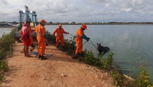 Cavalo cai dentro de estação de tratamento de esgoto na Grande Aracaju
