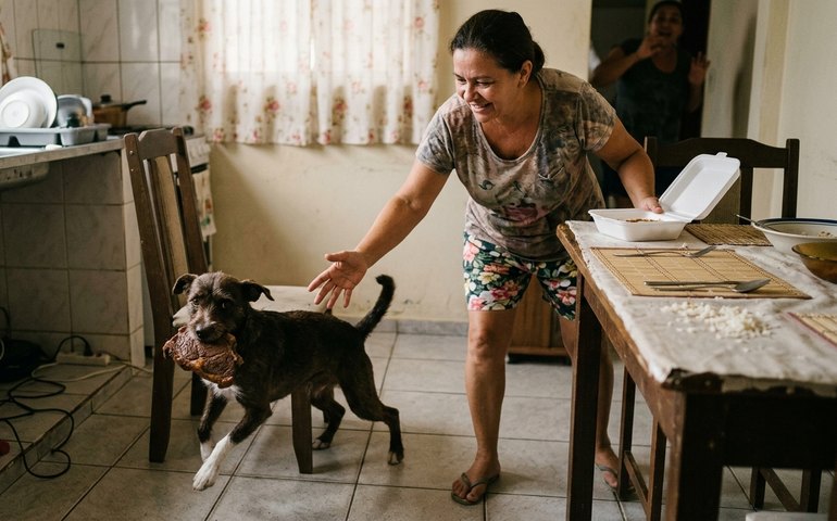 Cachorrinha rouba bife de marmita e dona tenta devolver em cena inesperada