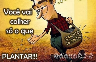 Cícero Almeida colheu o que plantou