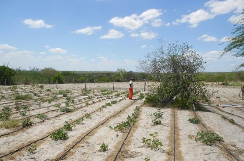 AL receberá R$ 2 milhões para aquisição de kits de irrigação