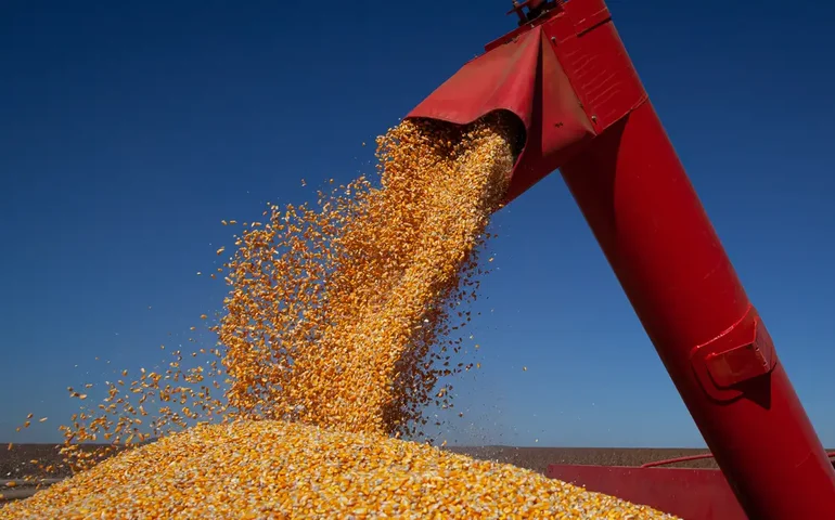 Apesar de riscos da guerra, exportadores de grãos estão mais confiantes com rotas no Mar Negro
