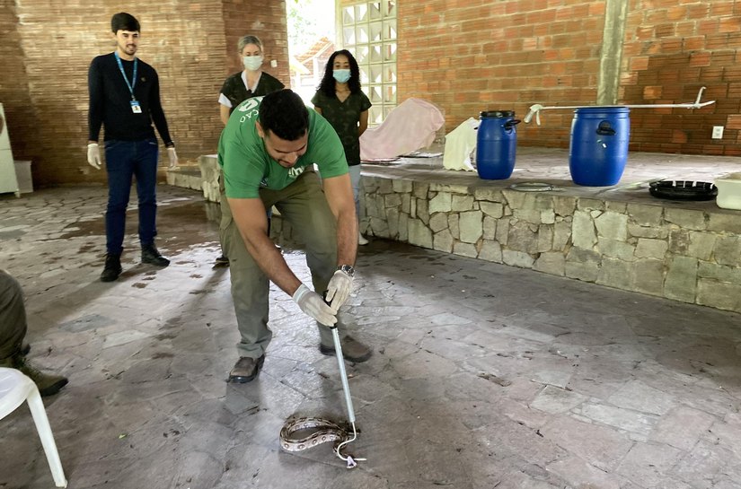 Técnicos do IMA participam de capacitação para manejo de animais silvestres