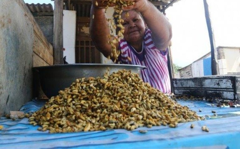 Uncisal e ONU Habitat expõem alternativas sustentáveis para áreas frágeis de Maceió