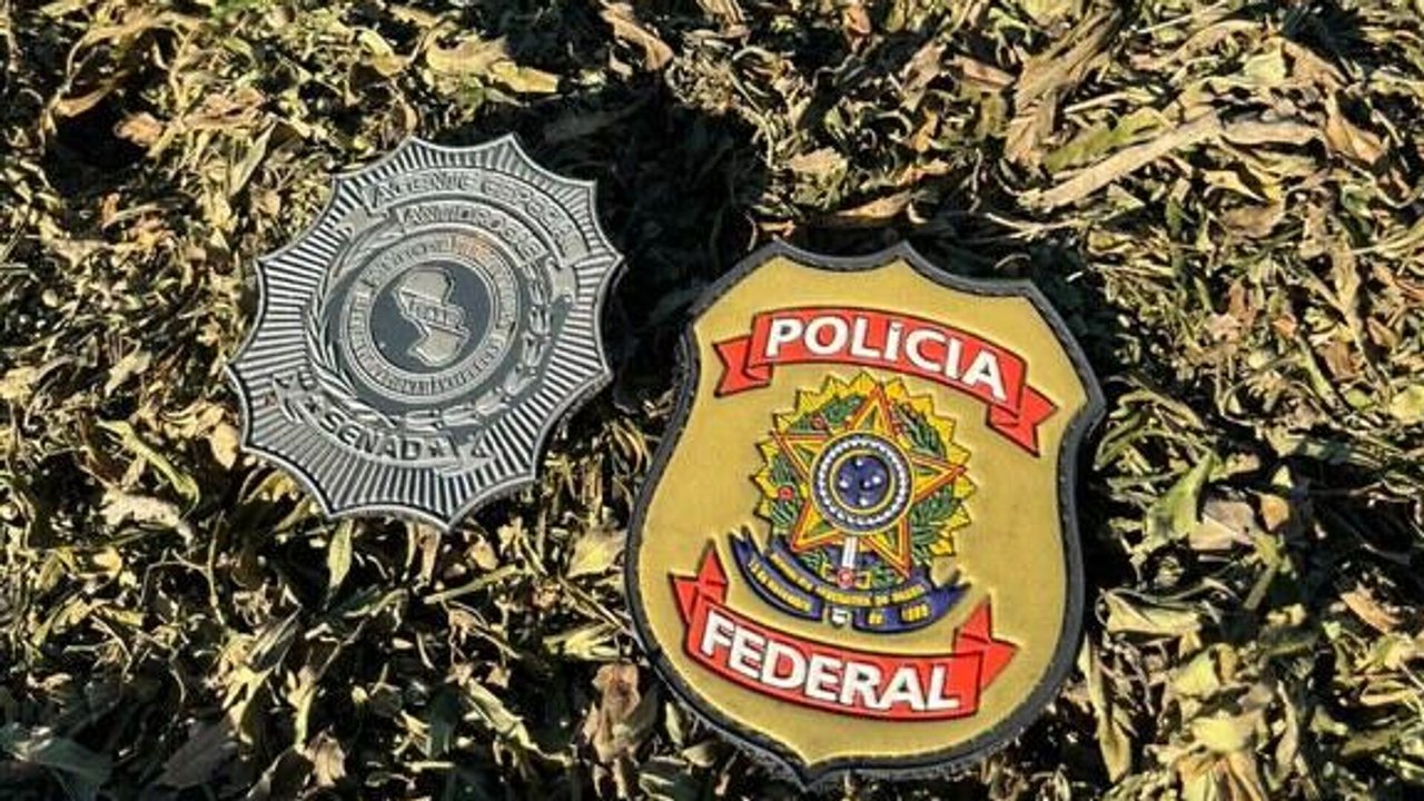 Operação Despensa Vazia mira fraudes na compra de alimentos no Ceará