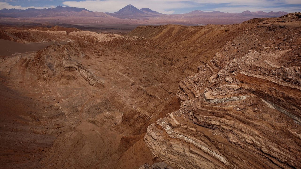 Setas encontradas no Chile foram feitas para caçar lhamas e têm 5.000 anos de idade