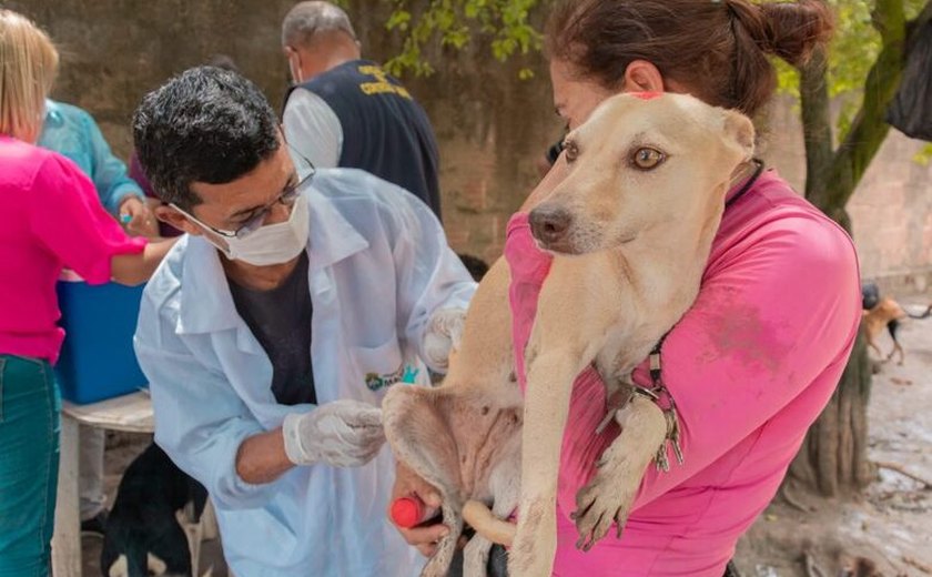 Gabinete da Causa Animal visita ONGs e aplica vacina antirrábica em cães e gatos