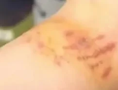 Imagem do WhatsApp de 2025-12-02 à(s) 09.34.38_a8607342.jpg 