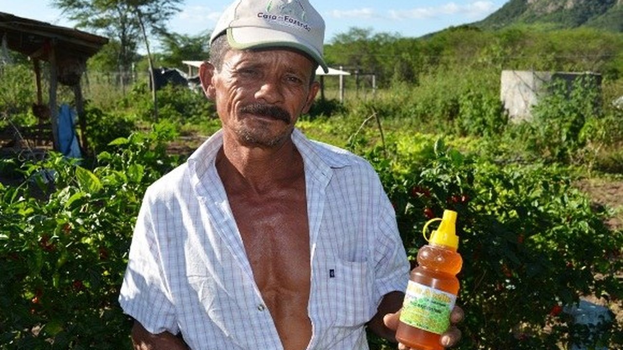 Agricultura familiar muda a vida de produtores no Sertão